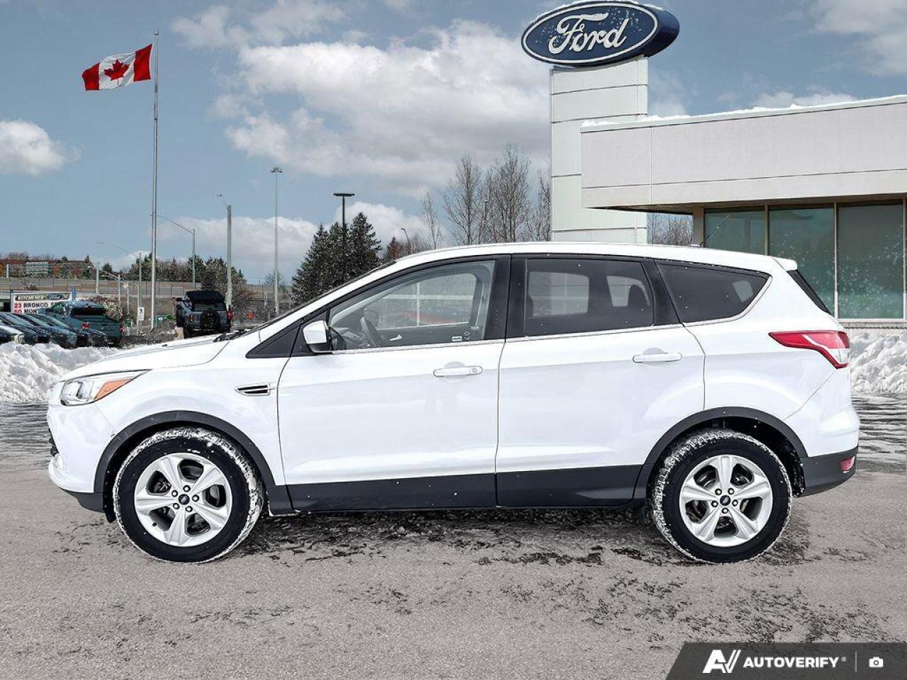 2015 Ford Escape SE   REVERSE CAMERA   VOICE ACT. SYSTEM REVERSE CA Photo3