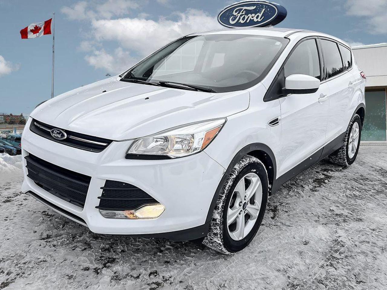 2015 Ford Escape SE   REVERSE CAMERA   VOICE ACT. SYSTEM REVERSE CA Photo