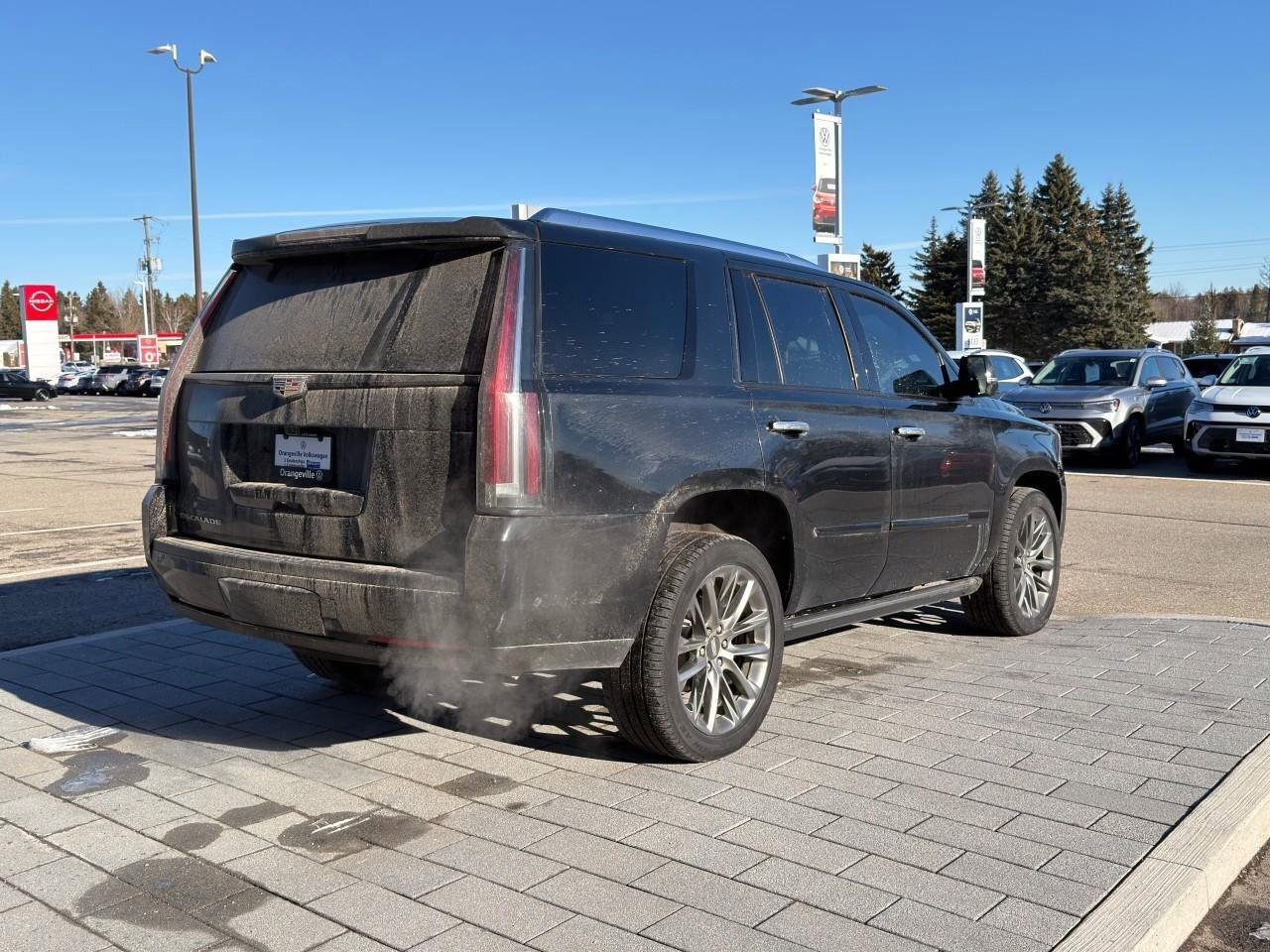 2020 Cadillac Escalade 4WD 4dr Platinum Photo3