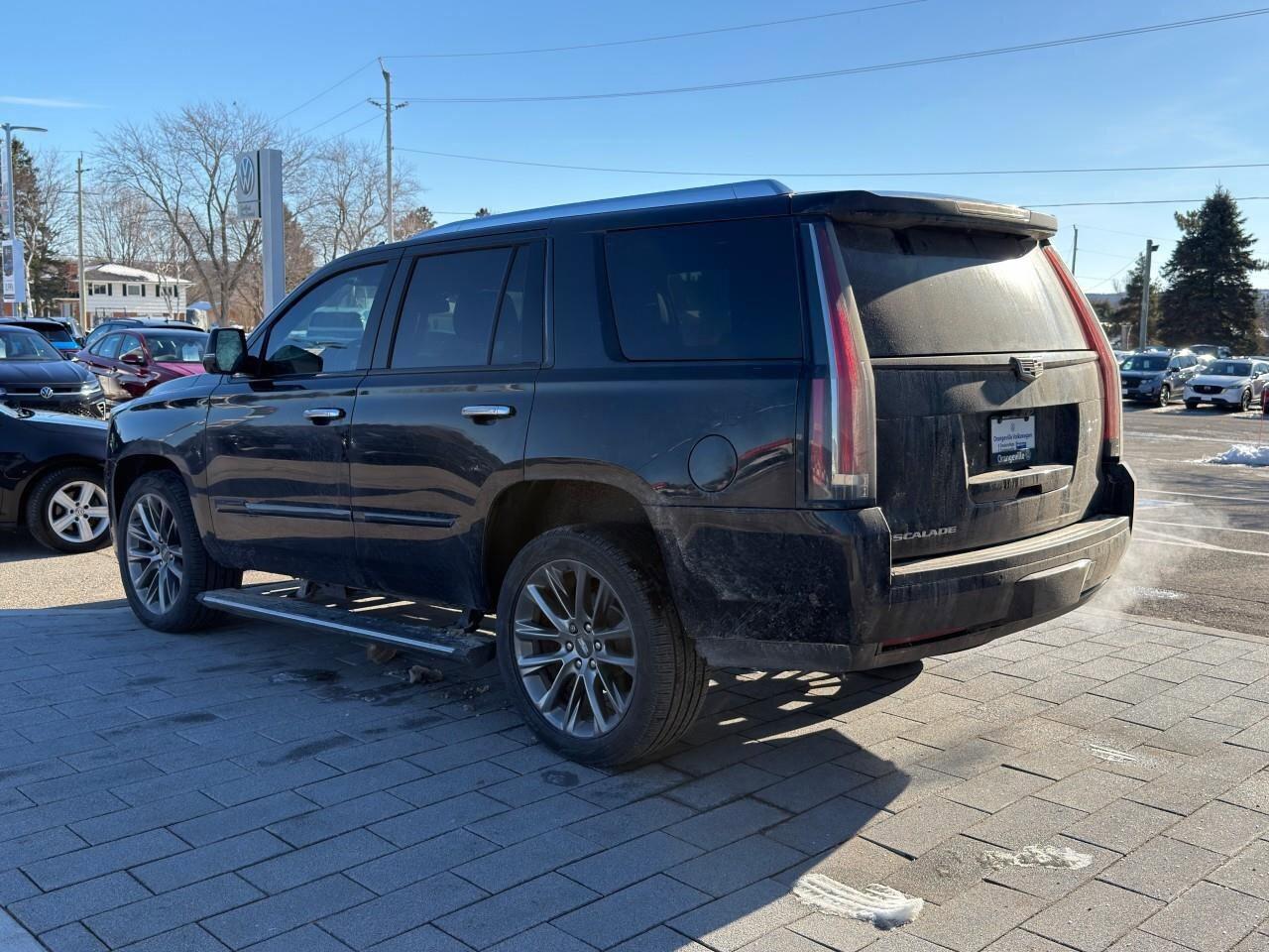 2020 Cadillac Escalade 4WD 4dr Platinum Photo