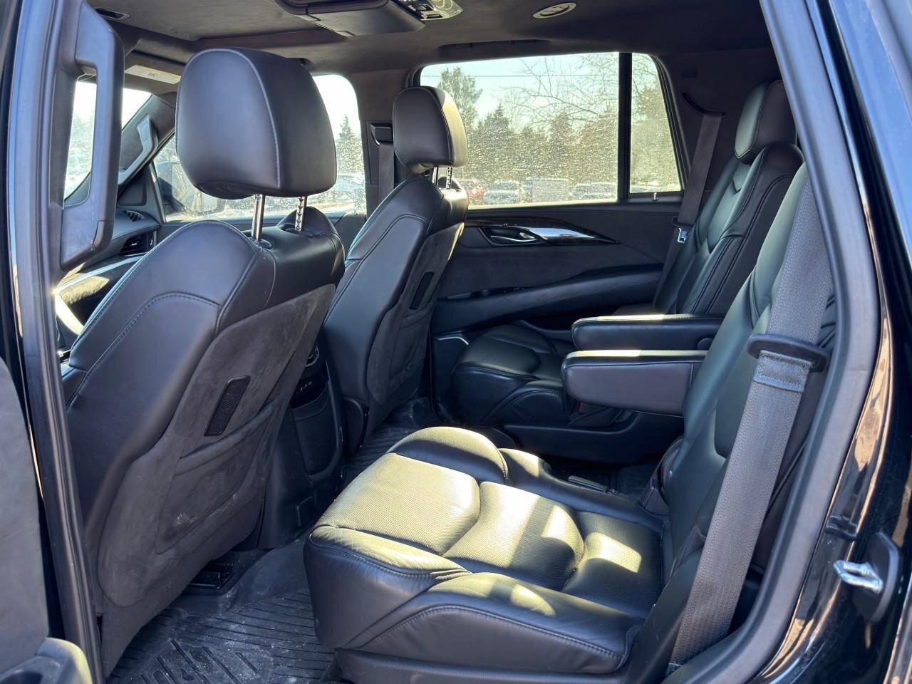 2020 Cadillac Escalade 4WD 4dr Platinum Photo