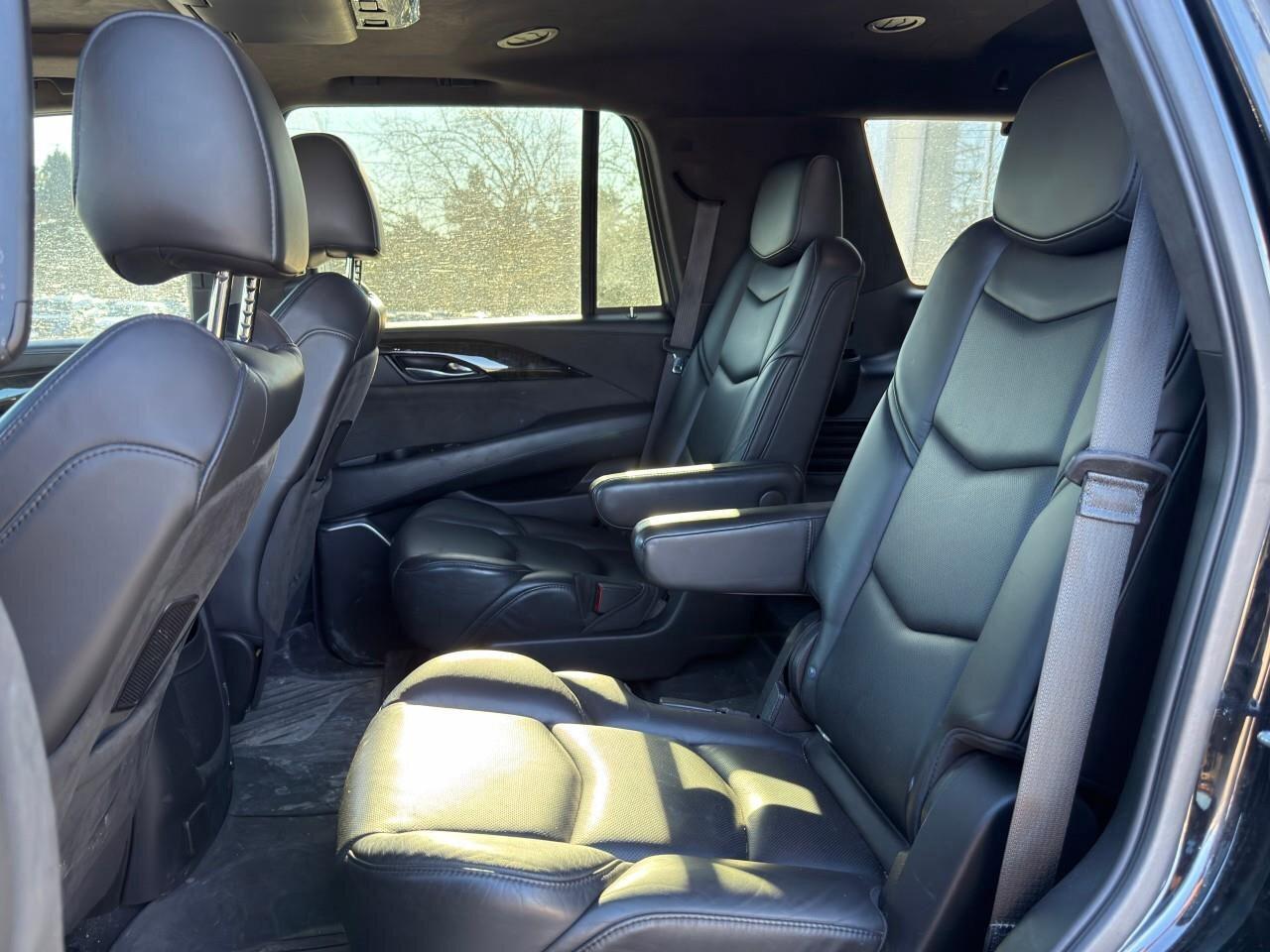 2020 Cadillac Escalade 4WD 4dr Platinum Photo