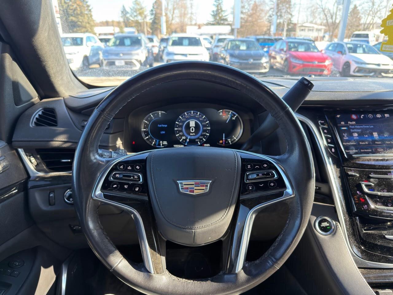 2020 Cadillac Escalade 4WD 4dr Platinum Photo