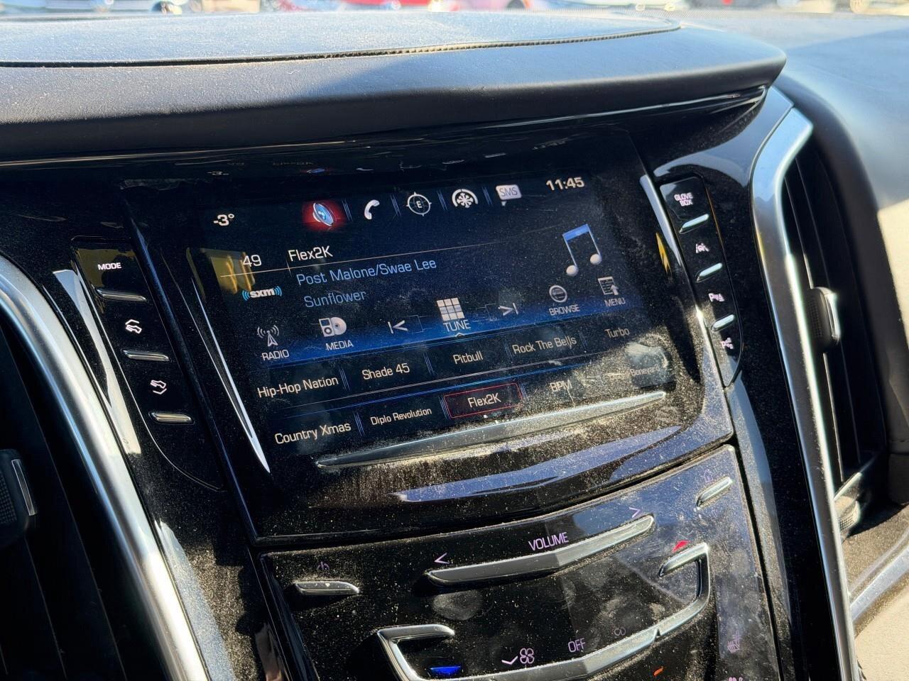 2020 Cadillac Escalade 4WD 4dr Platinum Photo