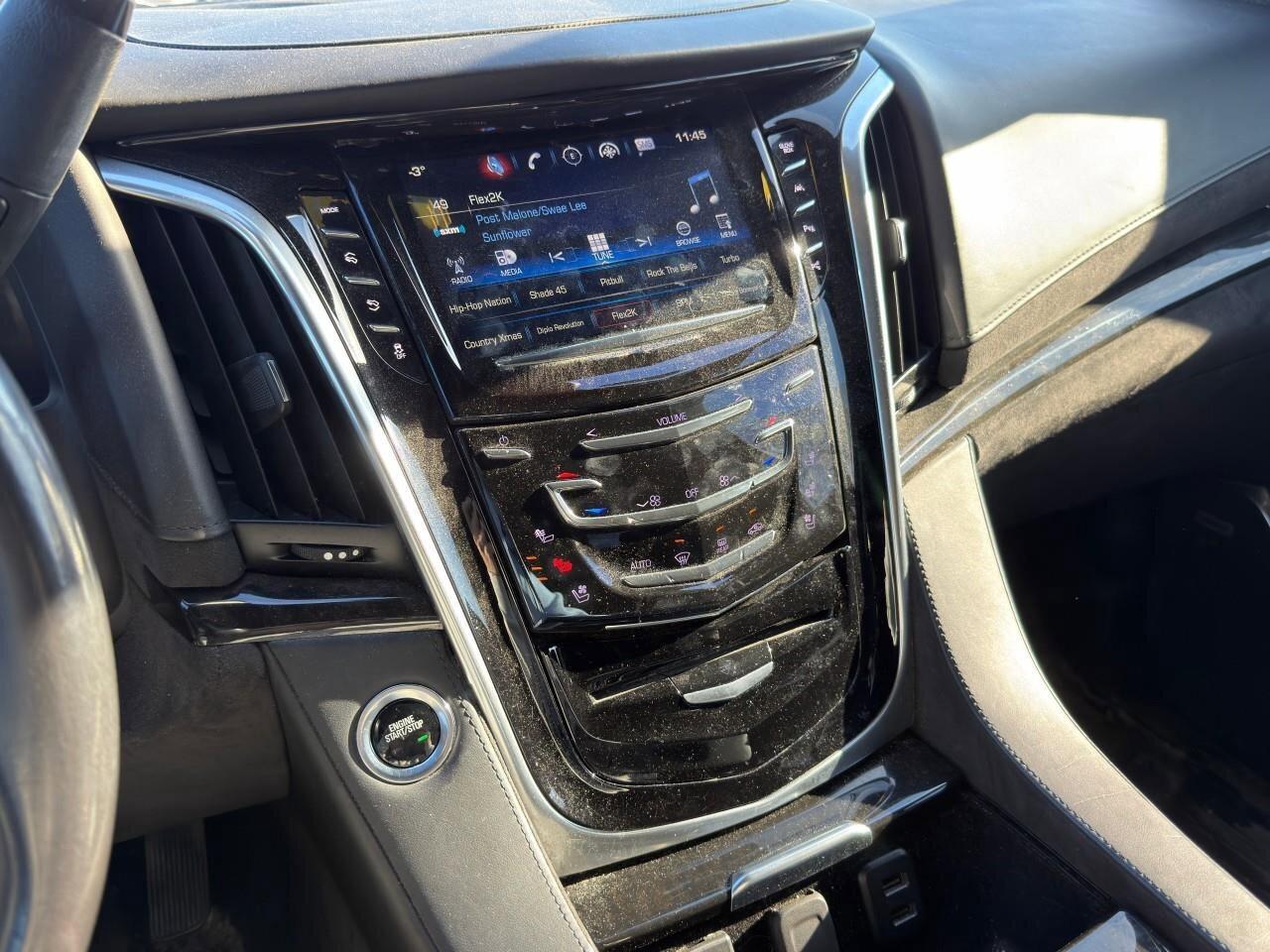 2020 Cadillac Escalade 4WD 4dr Platinum Photo