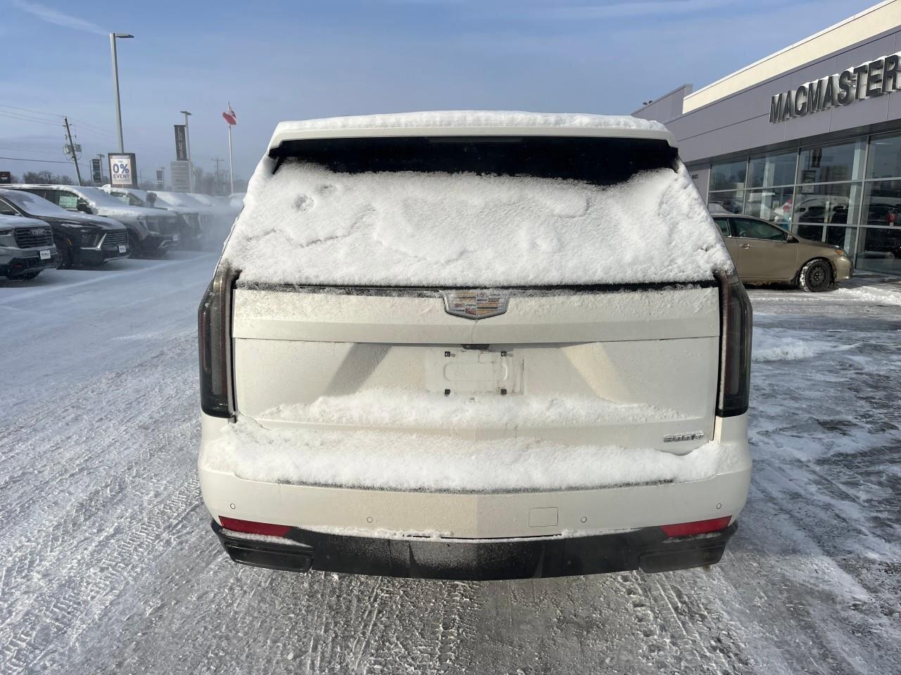 2024 Cadillac Escalade 4WD 4dr Sport Platinum Photo