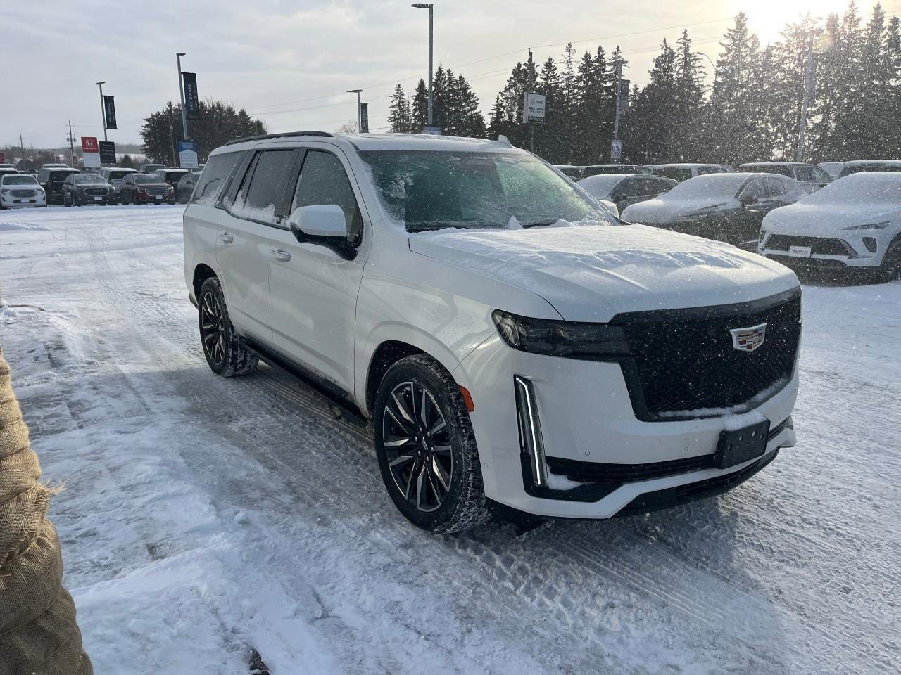 2024 Cadillac Escalade 4WD 4dr Sport Platinum Photo