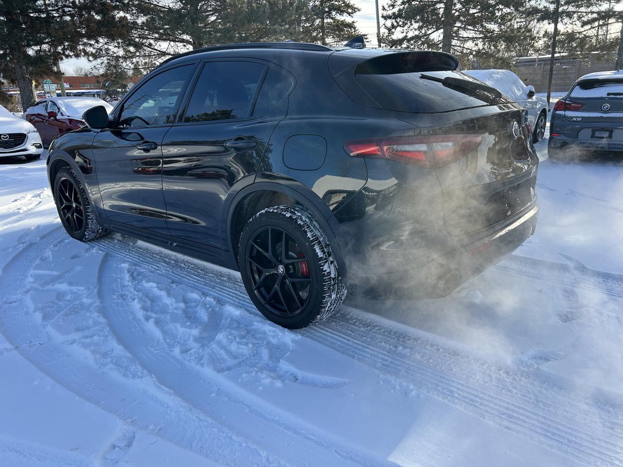 2019 Alfa Romeo Stelvio Q4 Photo2