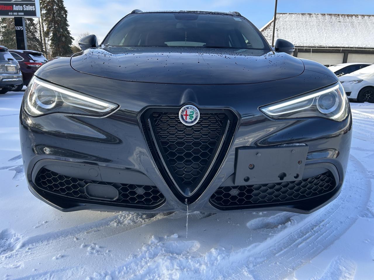 2019 Alfa Romeo Stelvio Q4 Photo