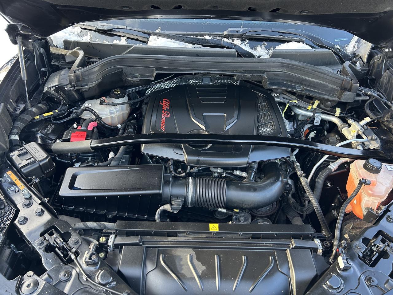 2019 Alfa Romeo Stelvio Q4 Photo