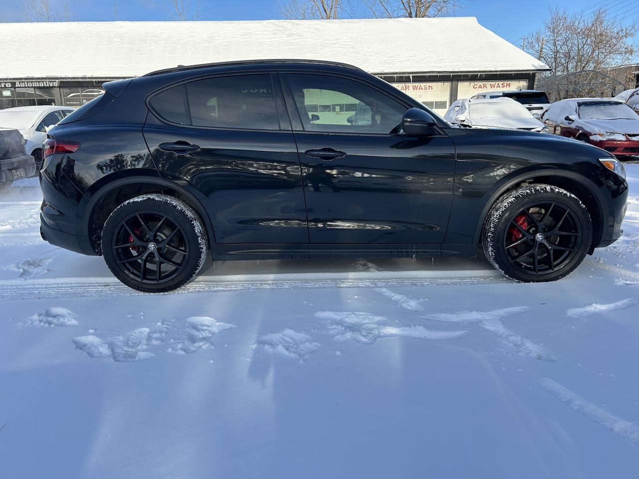 2019 Alfa Romeo Stelvio Q4 Photo
