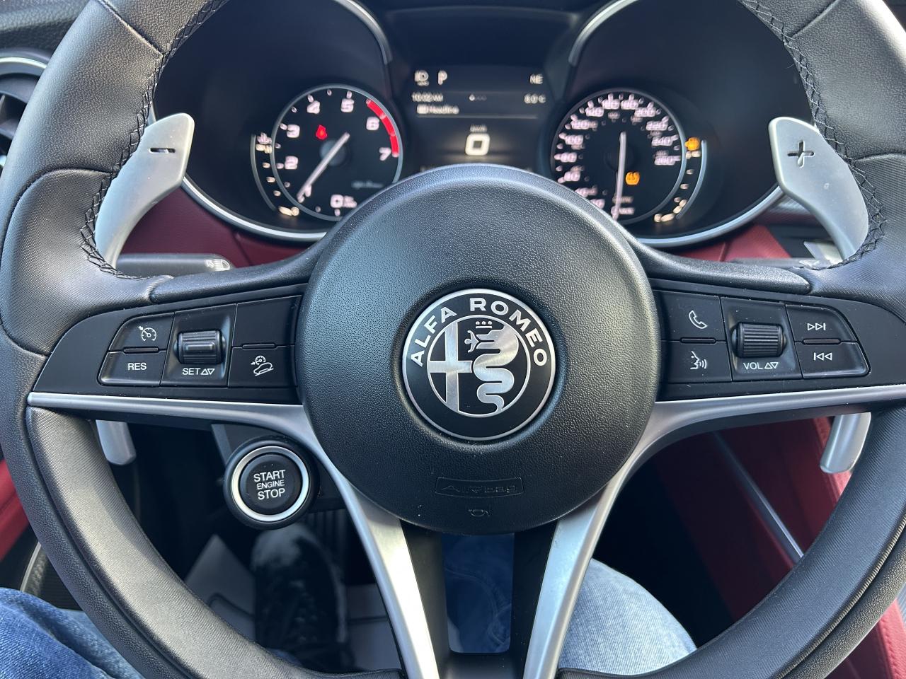 2019 Alfa Romeo Stelvio Q4 Photo