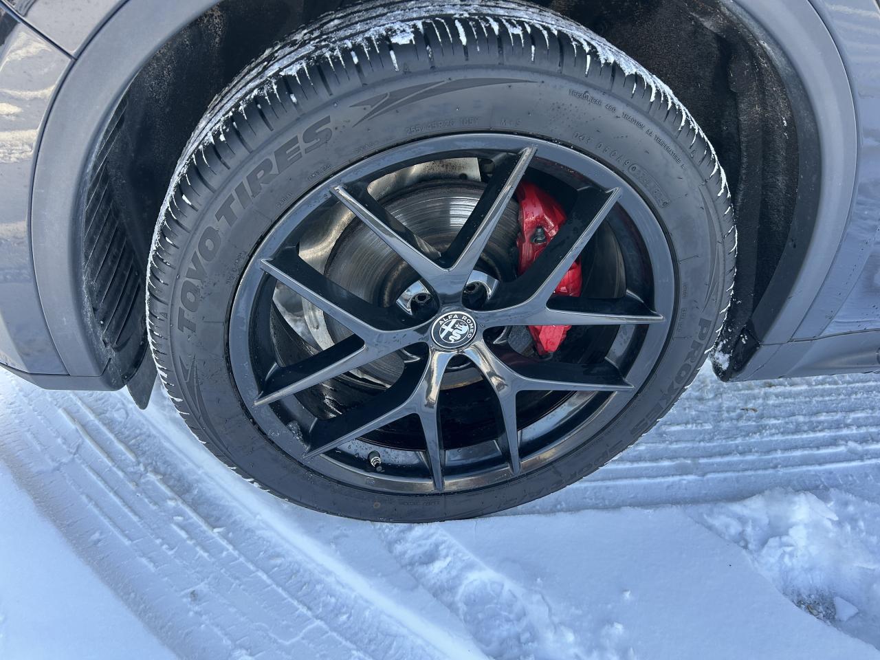 2019 Alfa Romeo Stelvio Q4 Photo