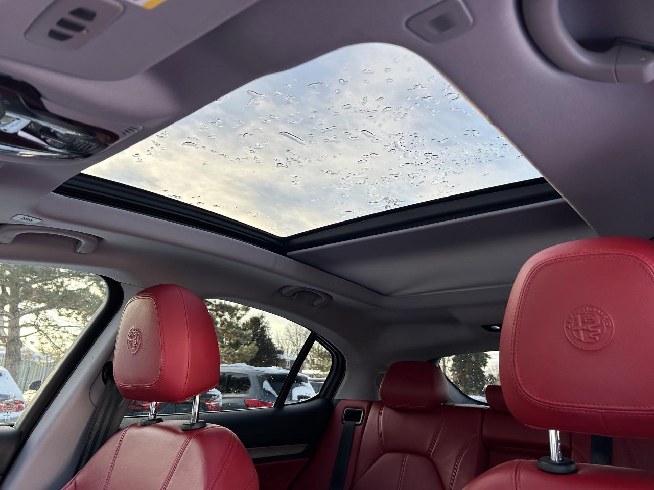 2019 Alfa Romeo Stelvio Q4 Photo