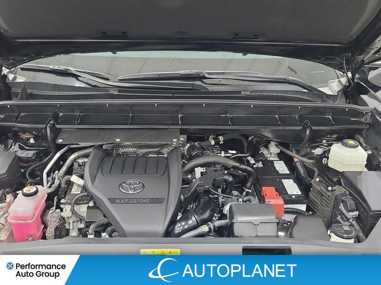 2023 Toyota Highlander LE AWD, 8-Seater, Heated Seats, Apple CarPlay! Photo