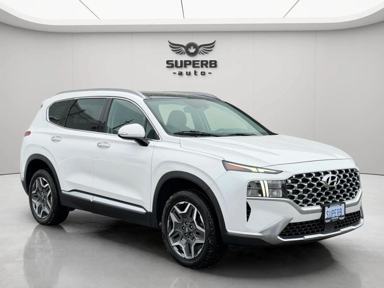 2023 Hyundai Santa Fe LUXURY   AWD   HYBRID   NO ACCIDENT Photo