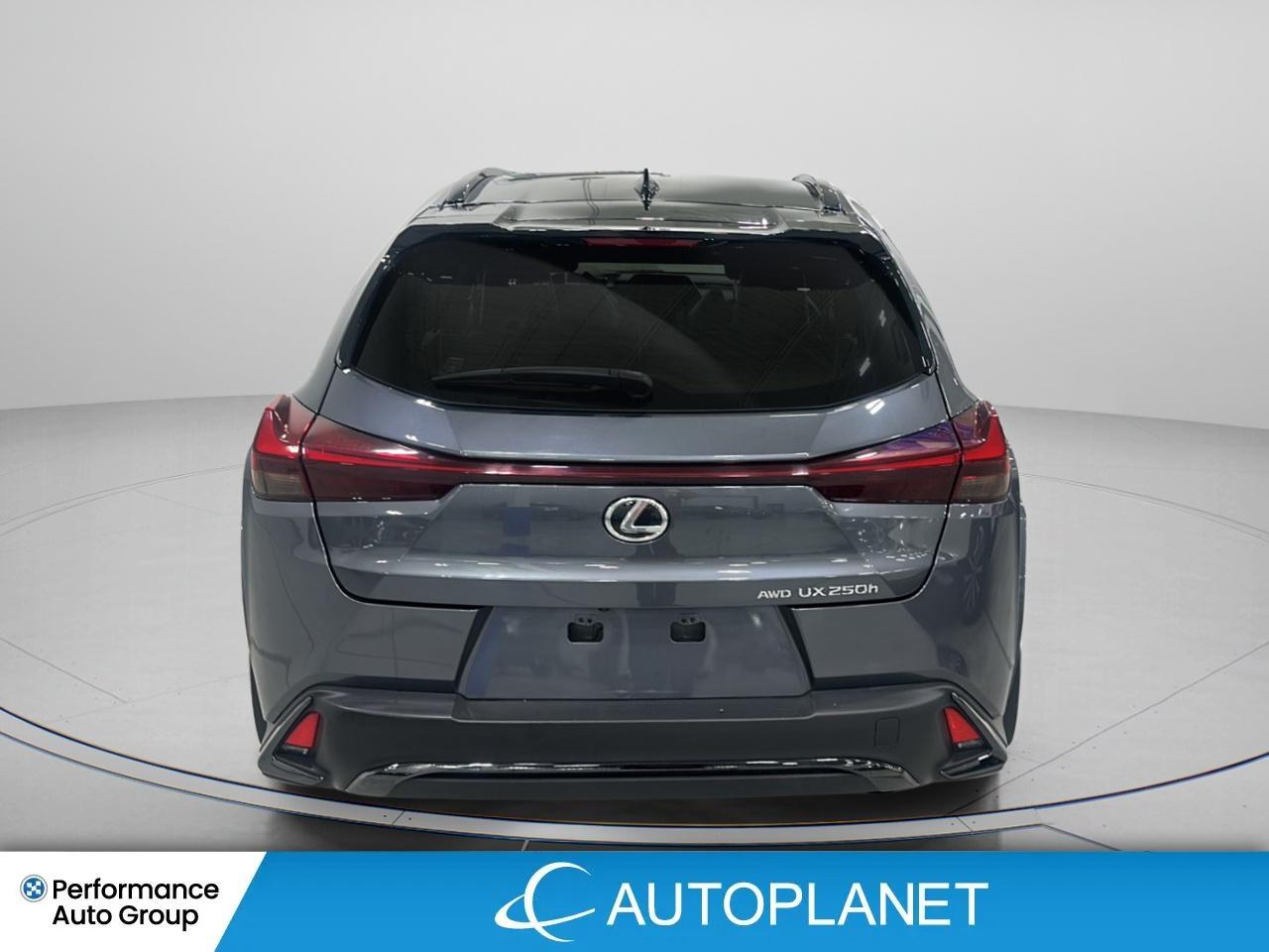 2023 Lexus UX F-Sport 1, Heated Seats, Sunroof, New Tires! Photo