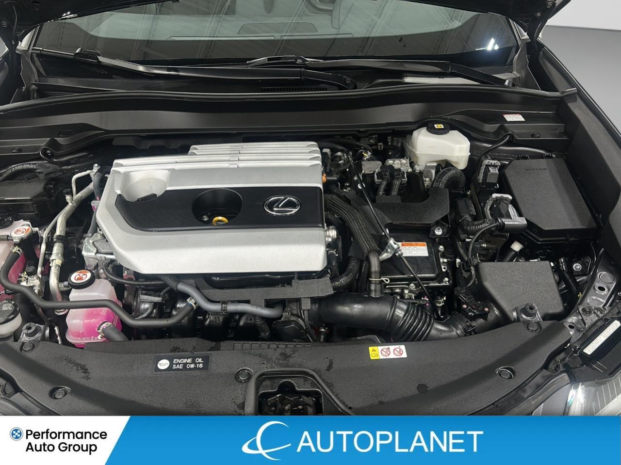 2023 Lexus UX F-Sport 1, Heated Seats, Sunroof, New Tires! Photo