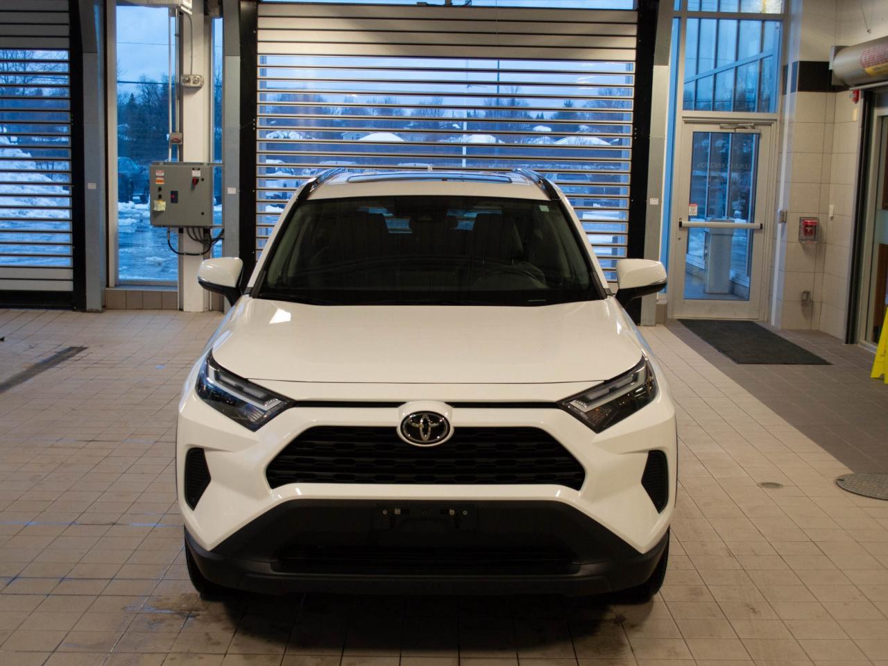 2022 Toyota RAV4 XLE Photo