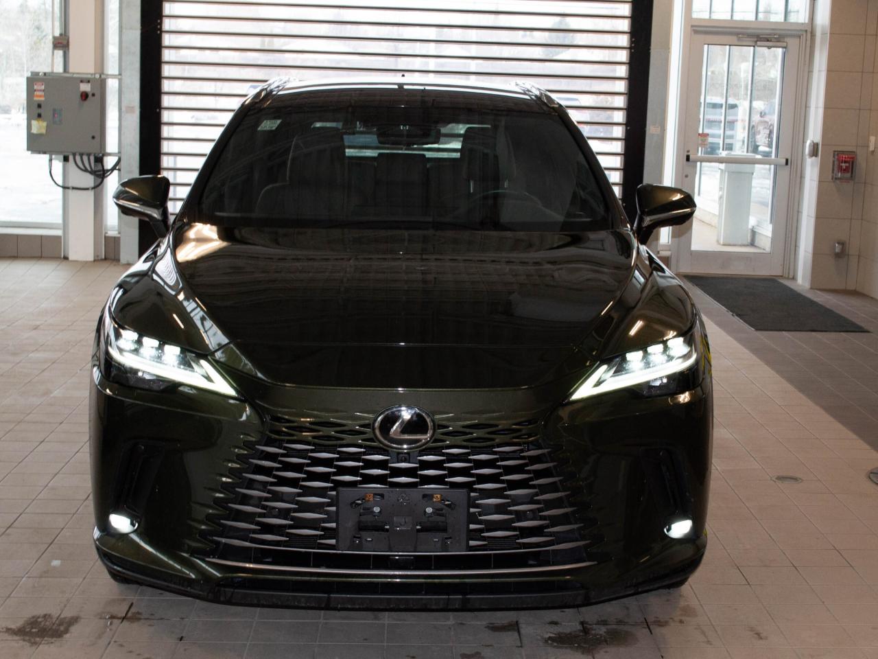 2023 Lexus RX 350  Photo