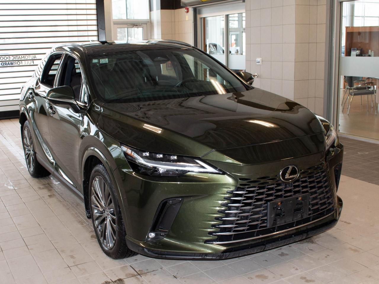 2023 Lexus RX 350  Photo