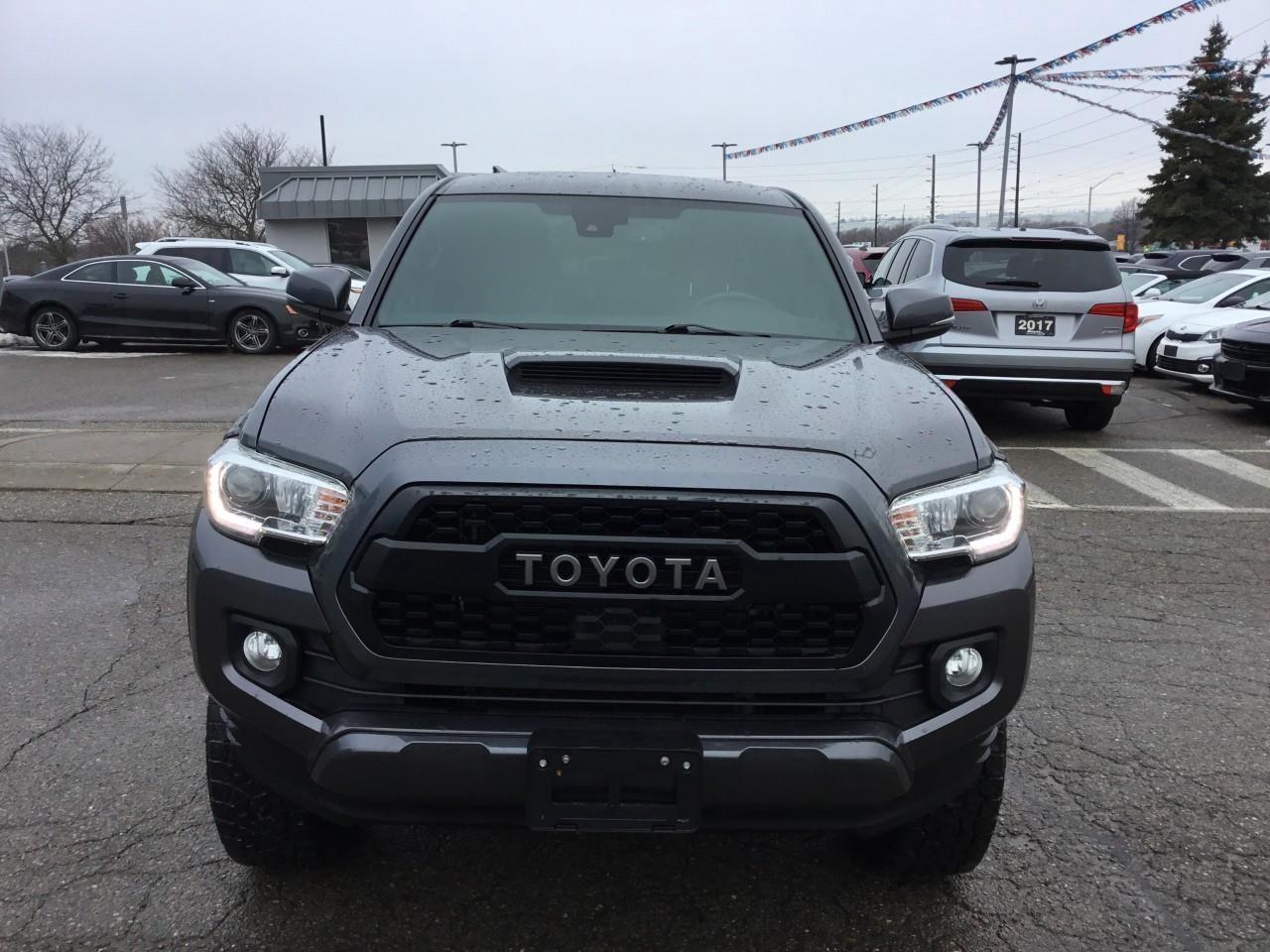 2021 Toyota Tacoma  Photo
