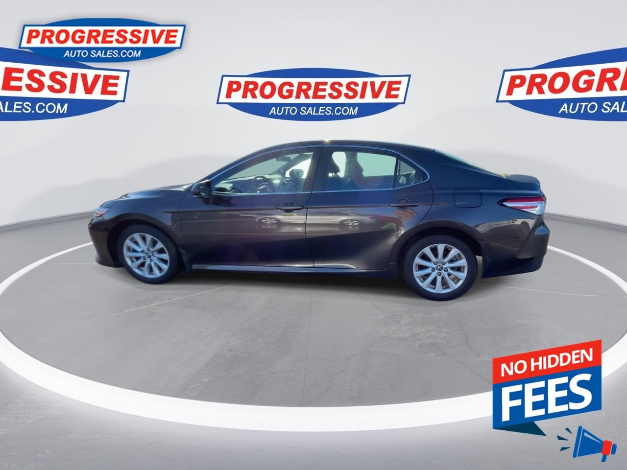 2018 Toyota Camry LE Photo