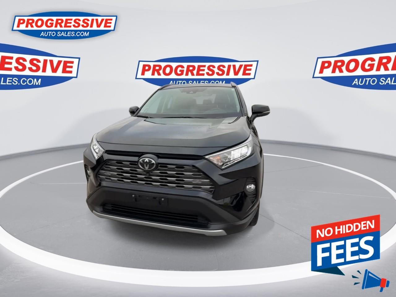 2019 Toyota RAV4 LIMITED  Photo3