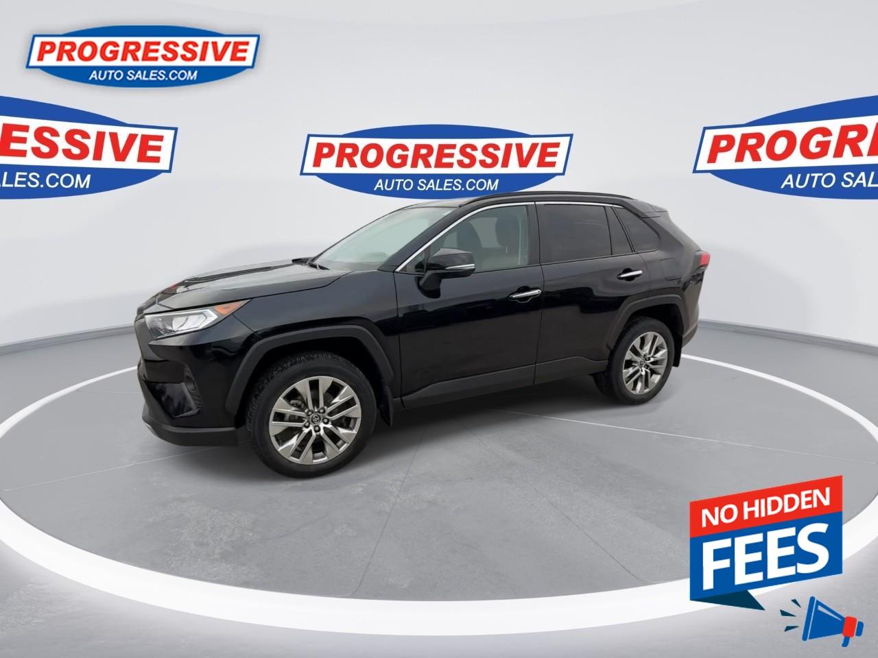 2019 Toyota RAV4 LIMITED  Photo4