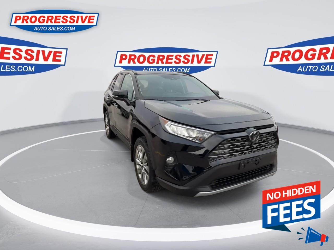 2019 Toyota RAV4 LIMITED  Photo2