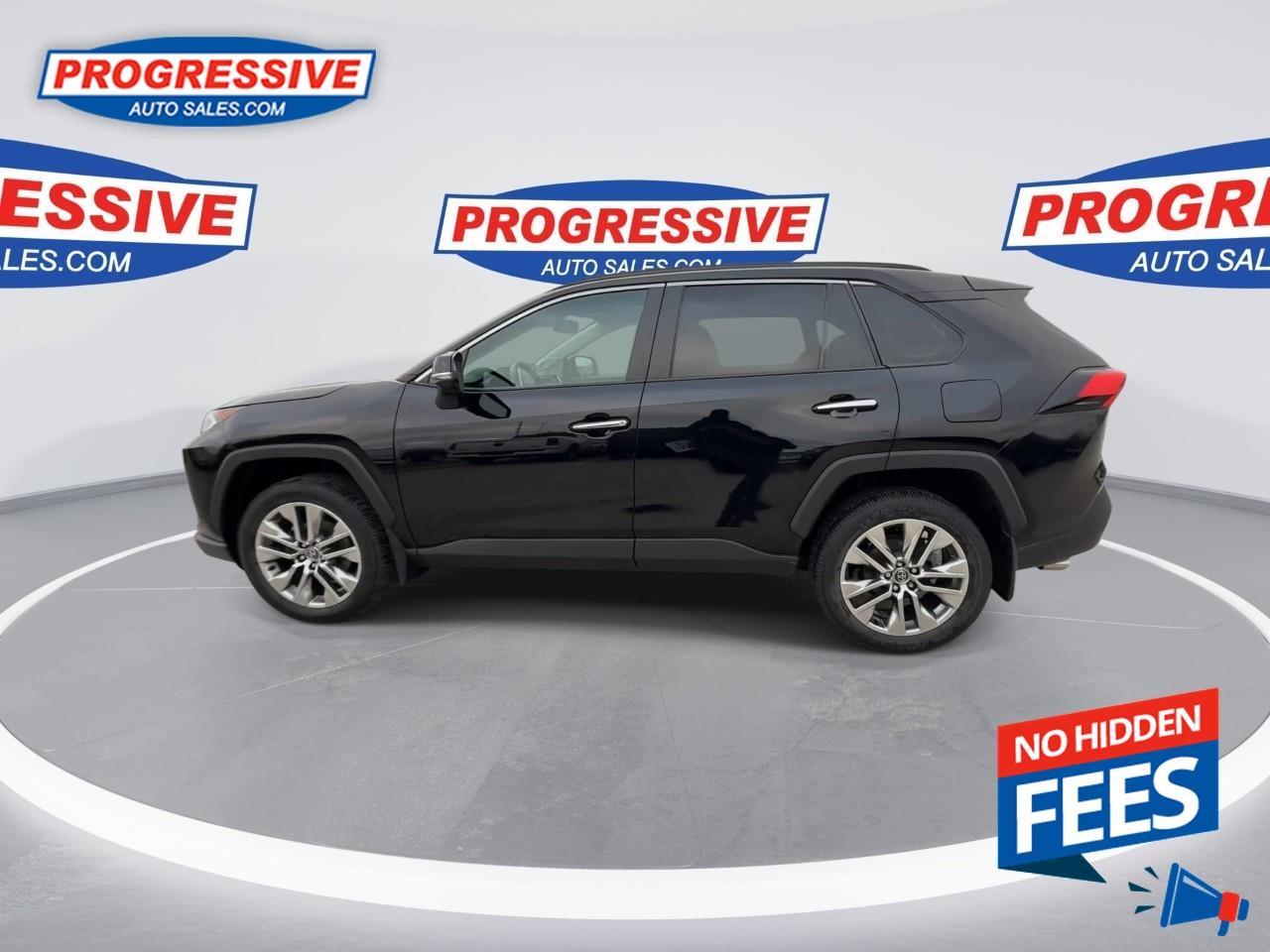 2019 Toyota RAV4 LIMITED  Photo