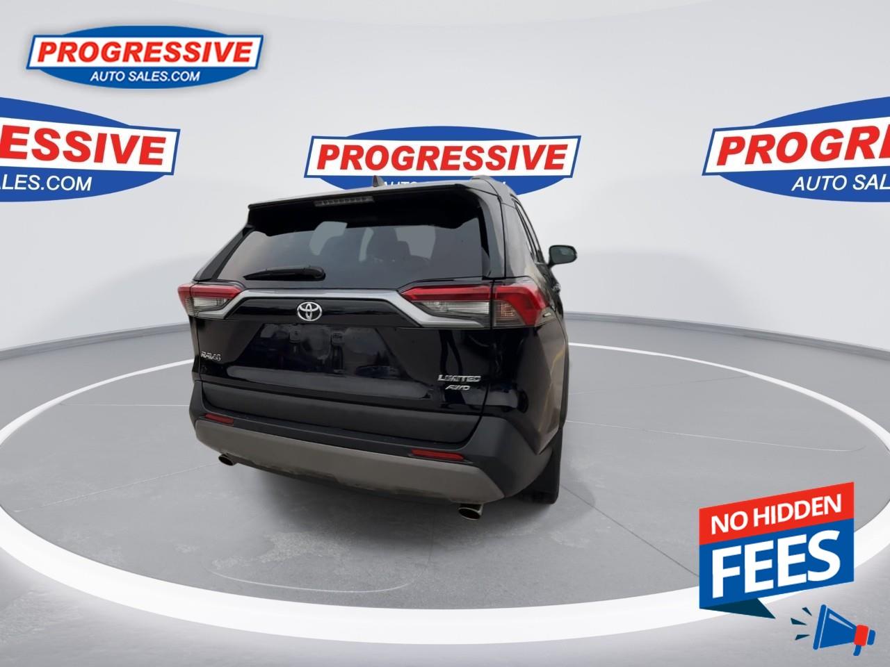 2019 Toyota RAV4 LIMITED  Photo