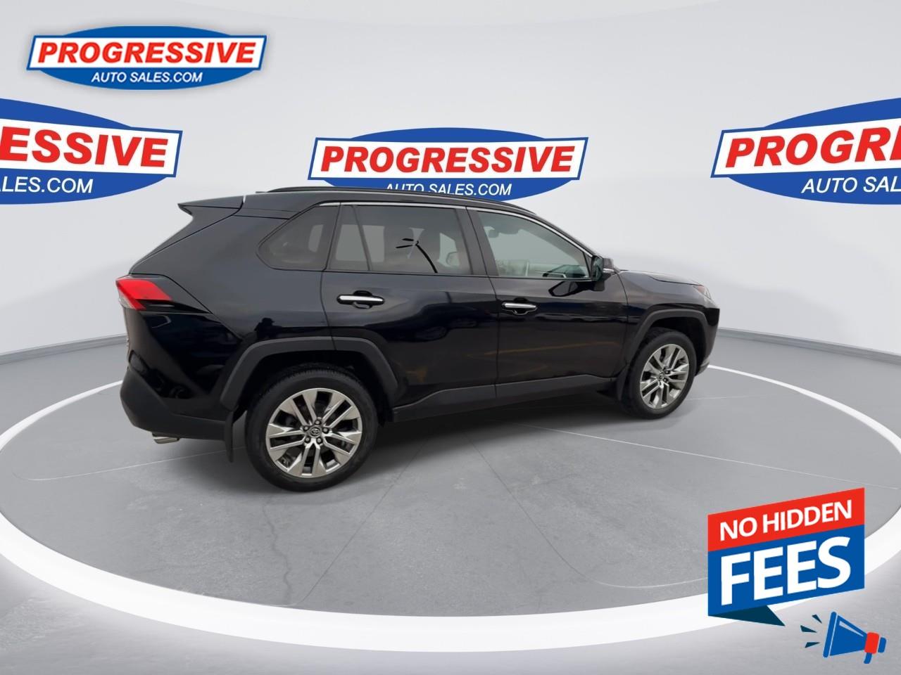 2019 Toyota RAV4 LIMITED  Photo