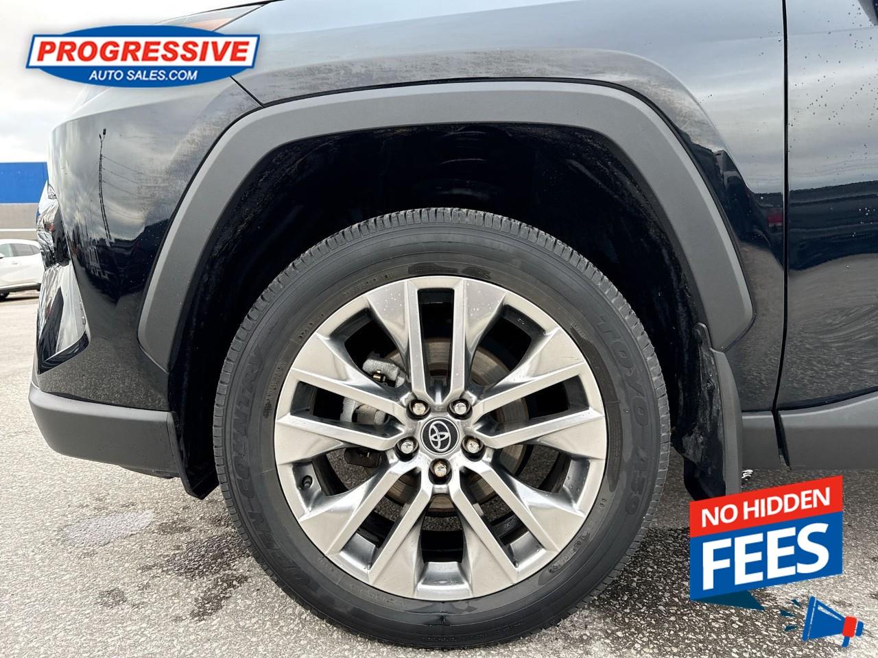 2019 Toyota RAV4 LIMITED  Photo