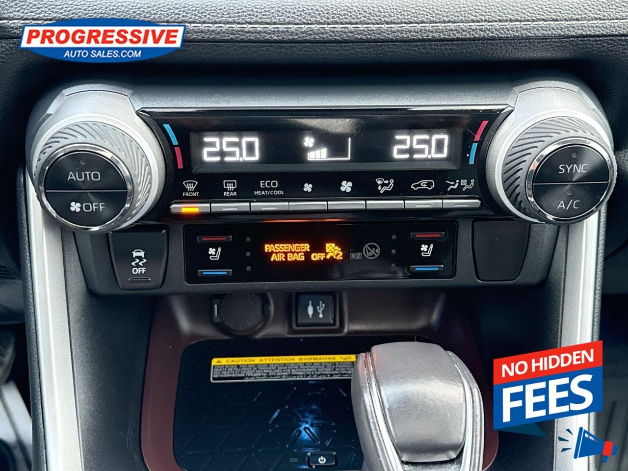 2019 Toyota RAV4 LIMITED  Photo