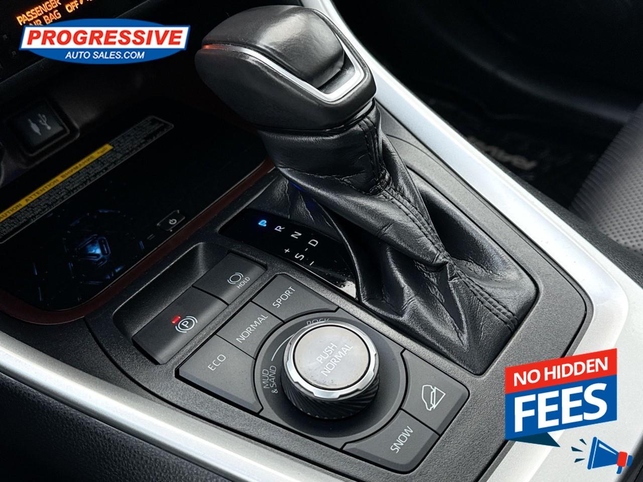 2019 Toyota RAV4 LIMITED  Photo