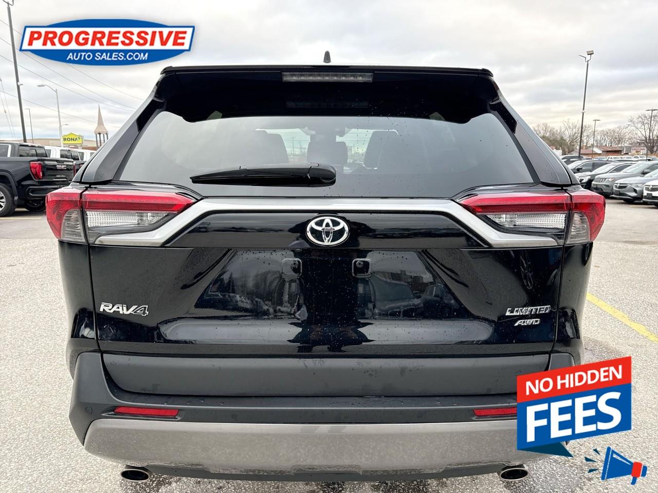 2019 Toyota RAV4 LIMITED  Photo