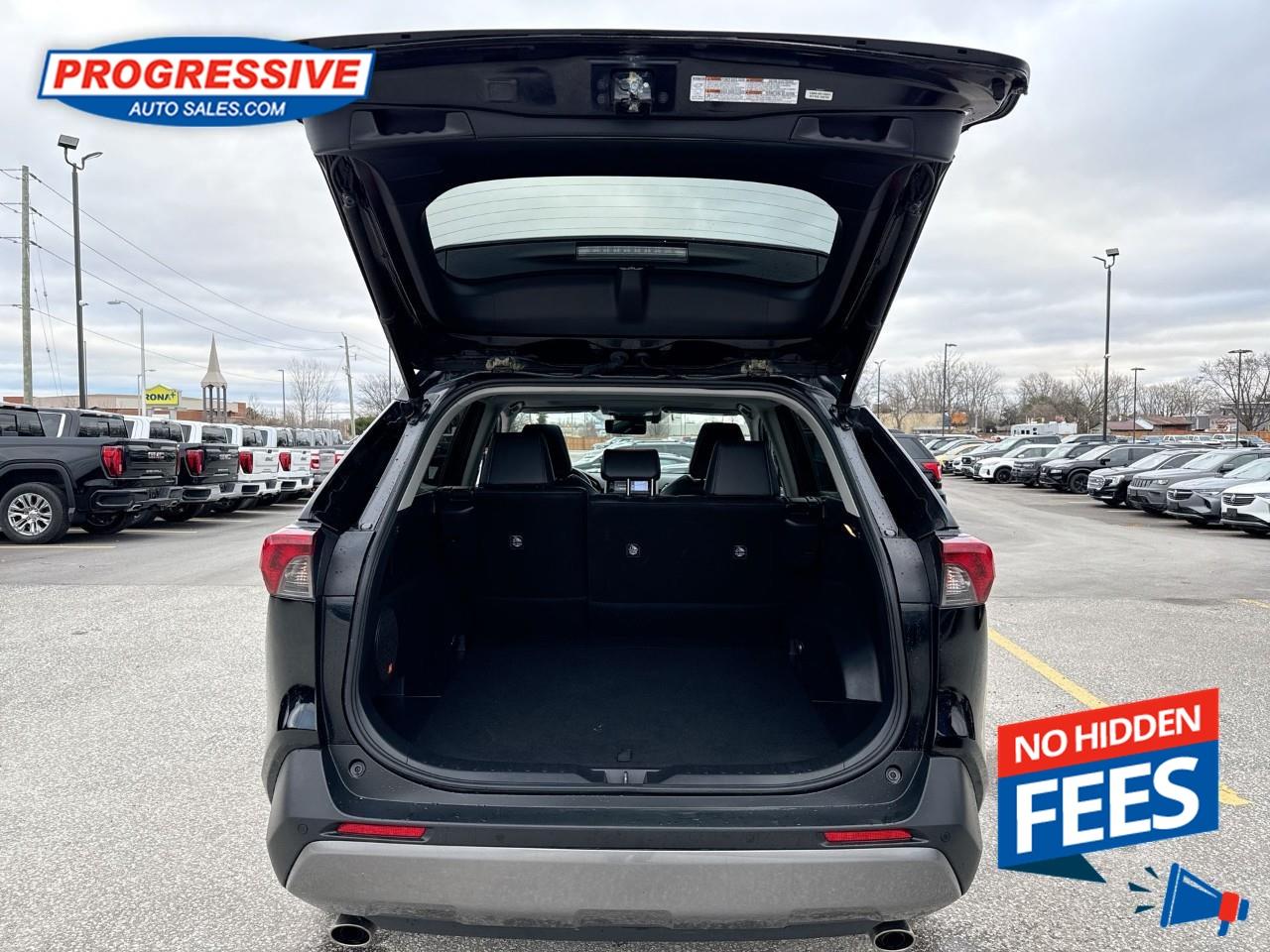 2019 Toyota RAV4 LIMITED  Photo