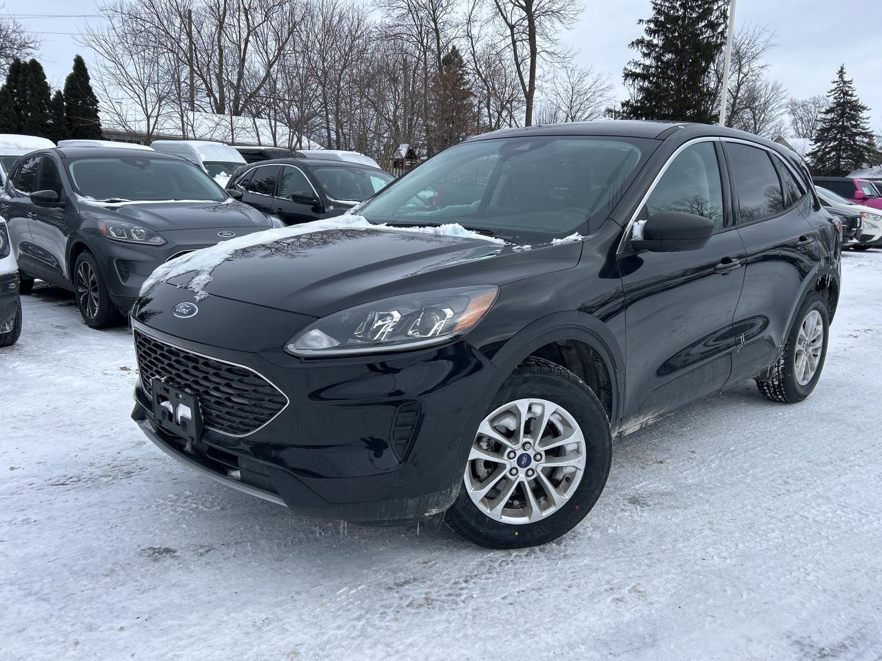 2022 Ford Escape SE AWD Photo0