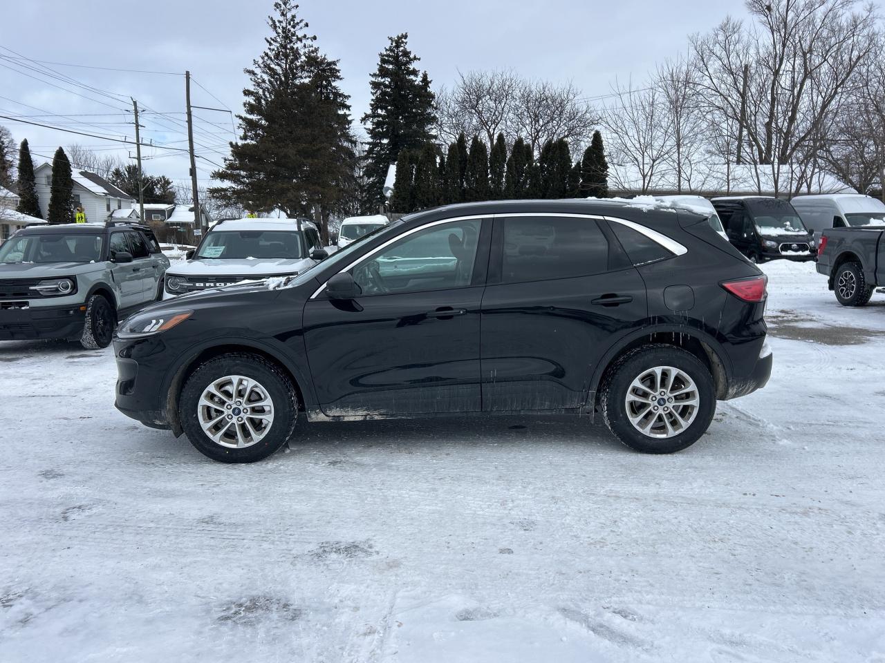 2022 Ford Escape SE AWD Photo