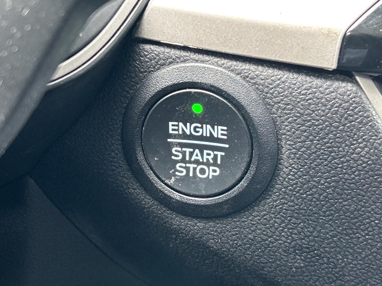 2022 Ford Escape SE AWD Photo