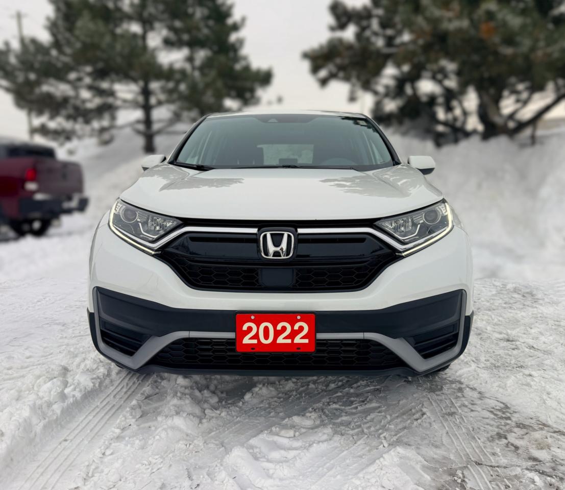 2022 Honda CR-V LX AWD | BLUETOOTH |  BLIND SPOT |  REMOTE START Photo