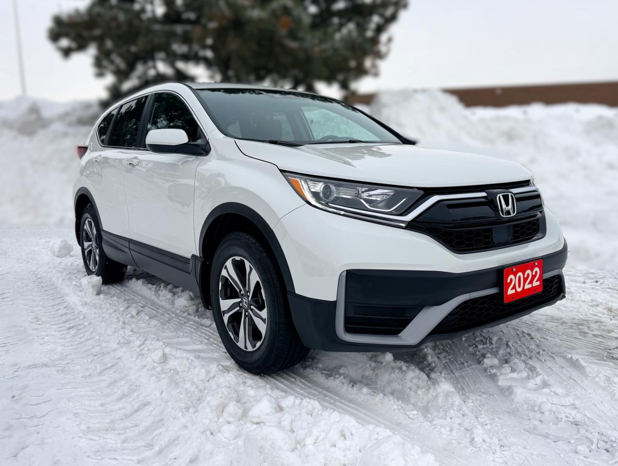 2022 Honda CR-V LX AWD | BLUETOOTH |  BLIND SPOT |  REMOTE START Photo