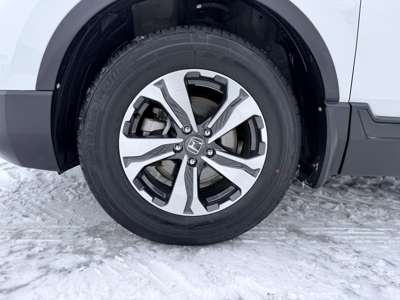 2022 Honda CR-V LX AWD | BLUETOOTH |  BLIND SPOT |  REMOTE START Photo