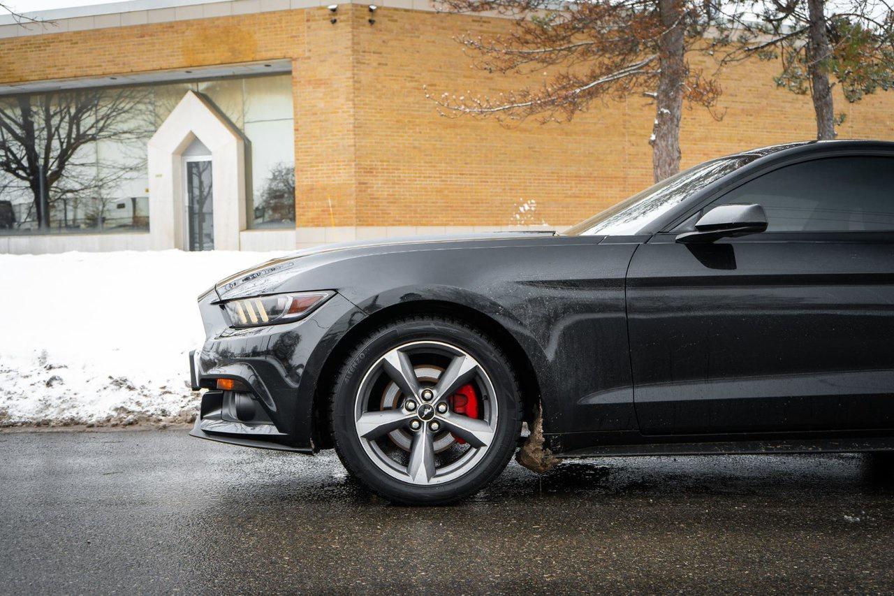 2017 Ford Mustang V6 Photo