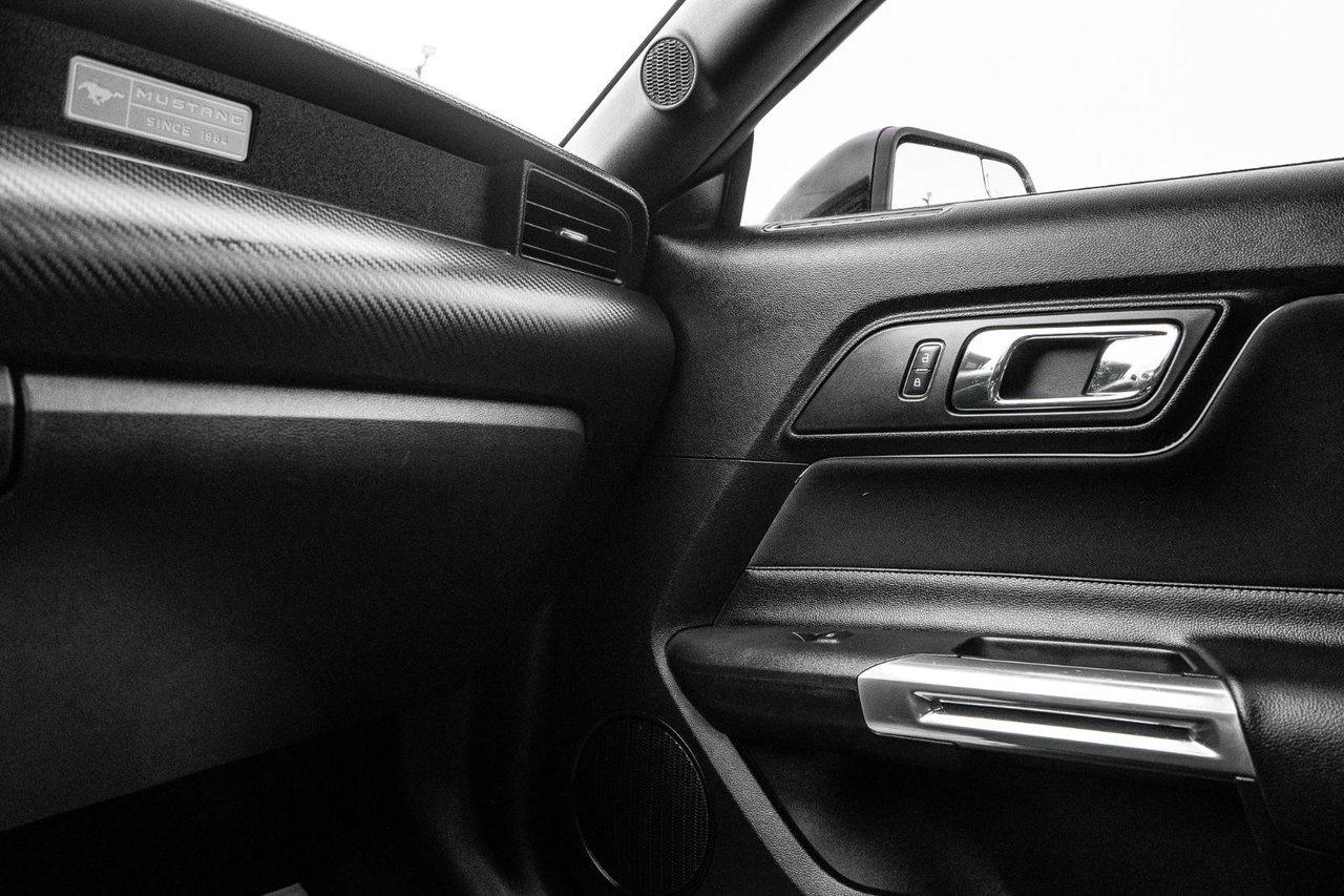 2017 Ford Mustang V6 Photo