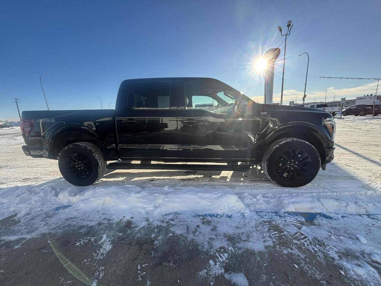 2025 Ford F-150 Lariat 4WD SuperCrew 5.5' Box Photo3