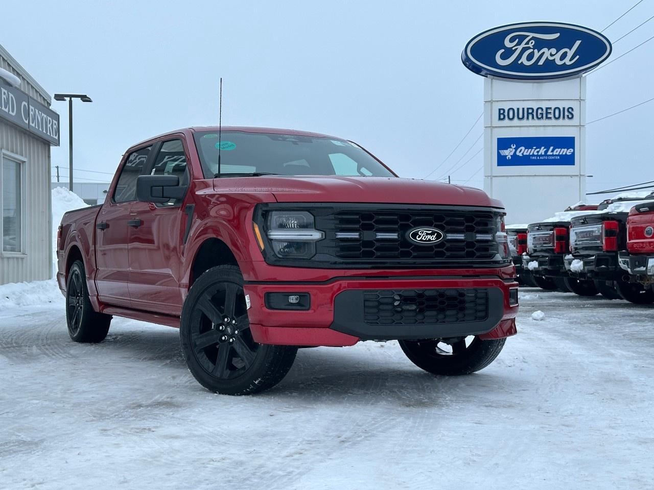 2025 Ford F-150 STX 4WD SuperCrew 5.5' Box Photo0