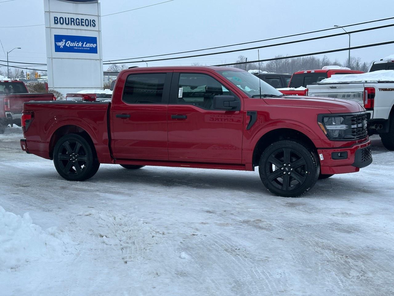 2025 Ford F-150 STX 4WD SuperCrew 5.5' Box Photo