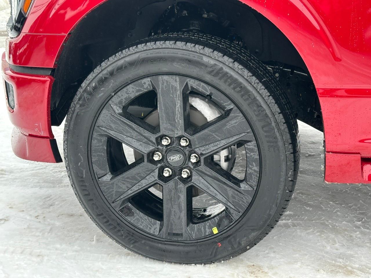 2025 Ford F-150 STX 4WD SuperCrew 5.5' Box Photo